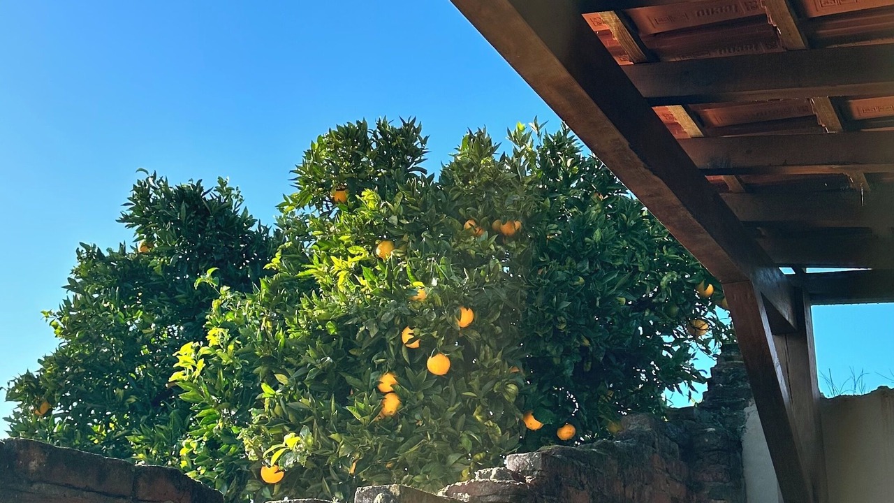 Photo of Outdoor in Nazare