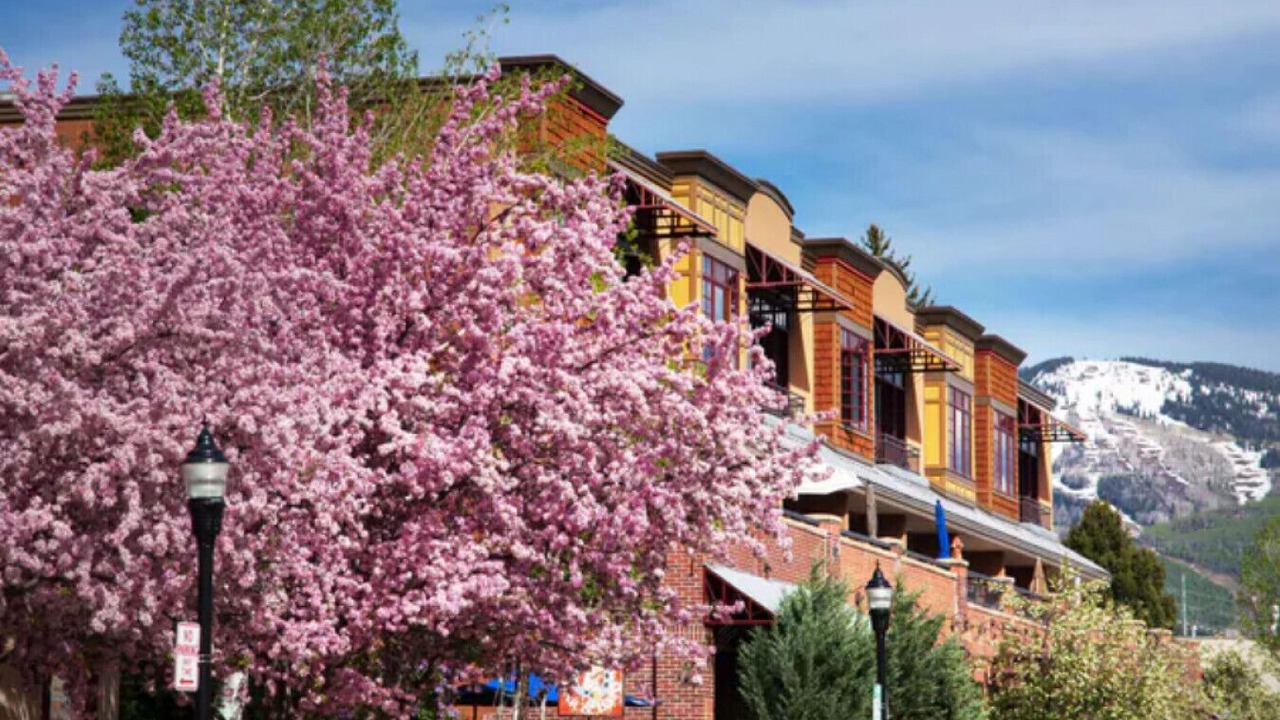 Photo of Outdoor in Steamboat Springs