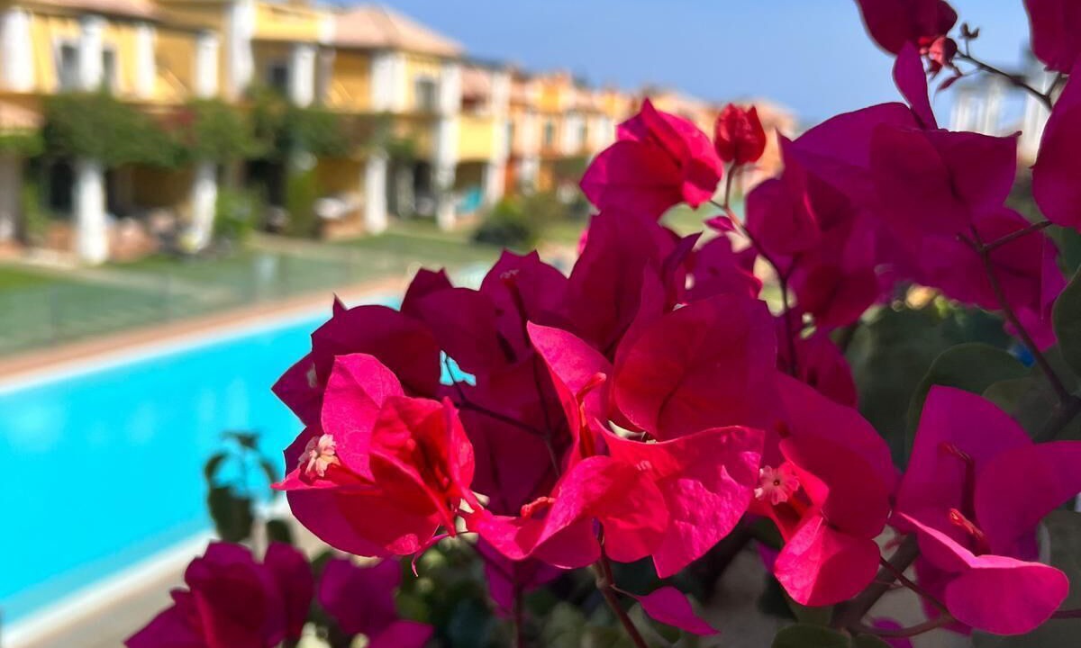 Photo of Outdoor in Luz de Tavira