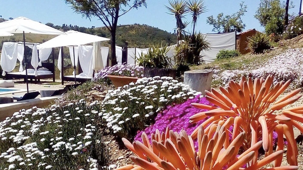 Photo of Outdoor in Aldeia dos Palheiros