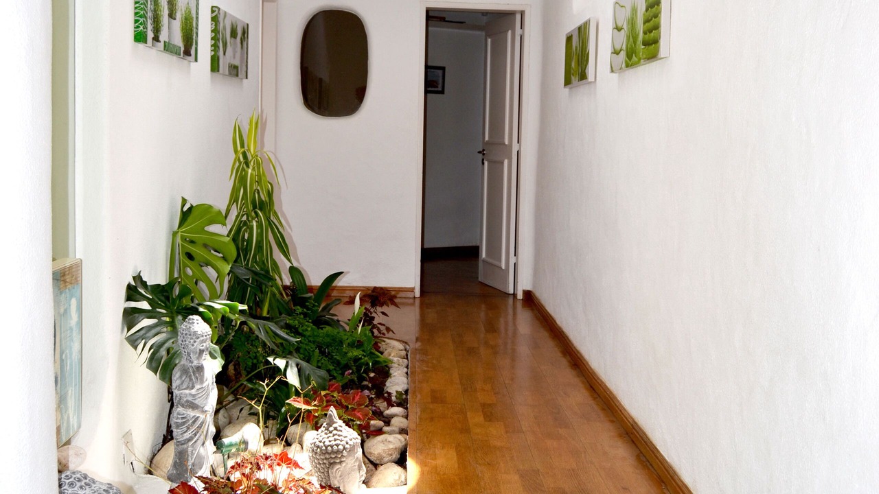 Photo of Others in Malveira da Serra