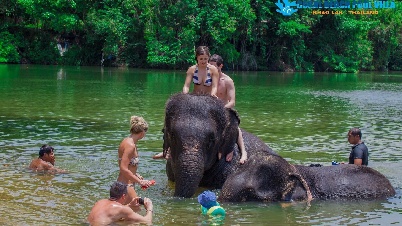 Photo of Others in Khao Lak