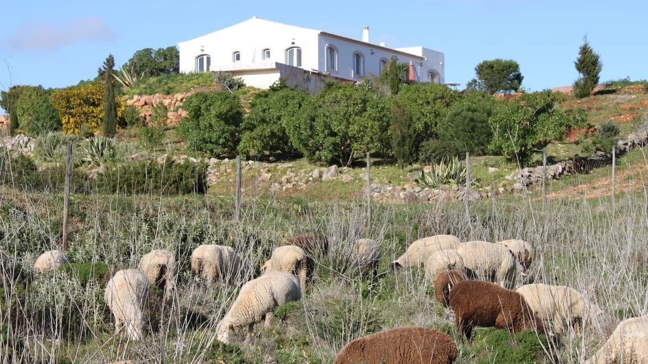 Photo of Others in Vila do Bispo