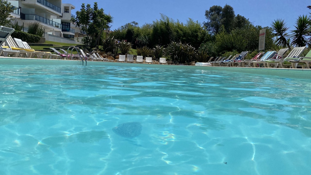 Photo of Others in Alvor