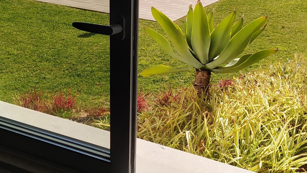 Photo of Outdoor in Calicos