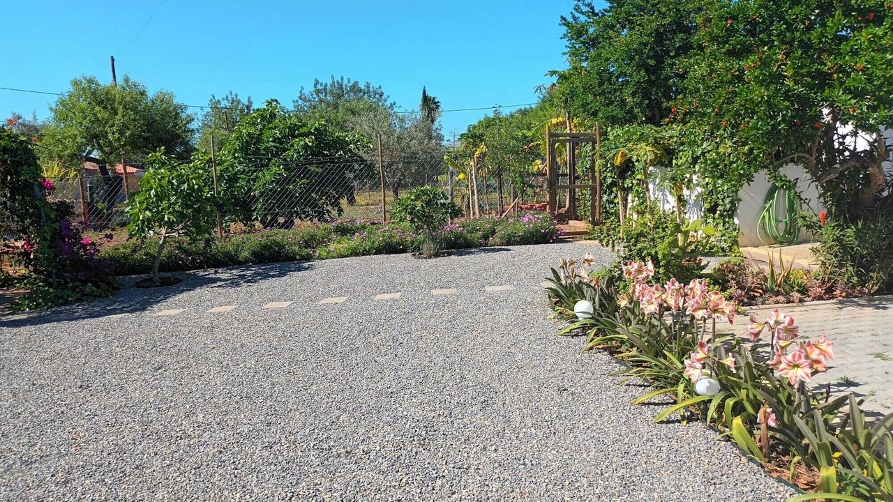 Photo of Outdoor in Pechao