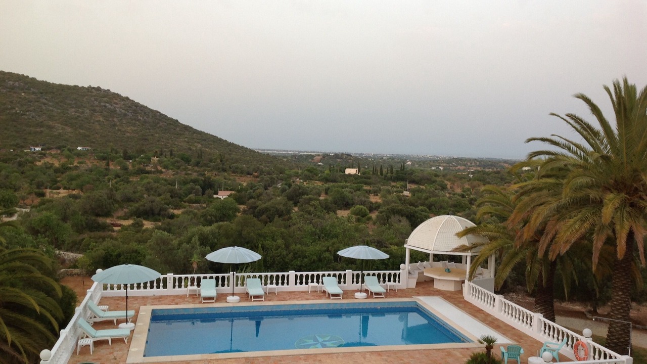 Photo of Outdoor in Calicos