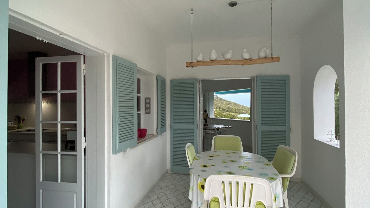 Photo of Outdoor in Calicos