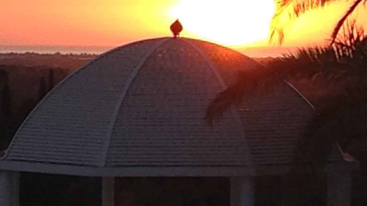 Photo of Others in Calicos