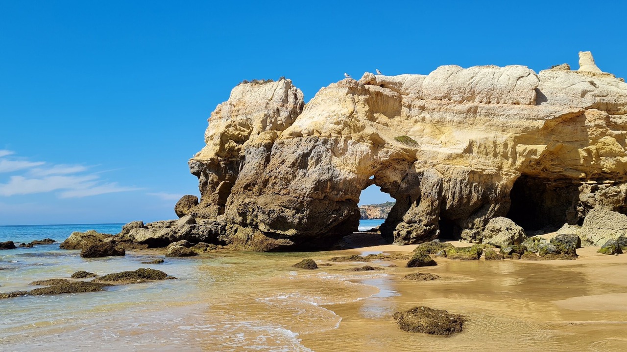 Photo of Others in Praia da Rocha