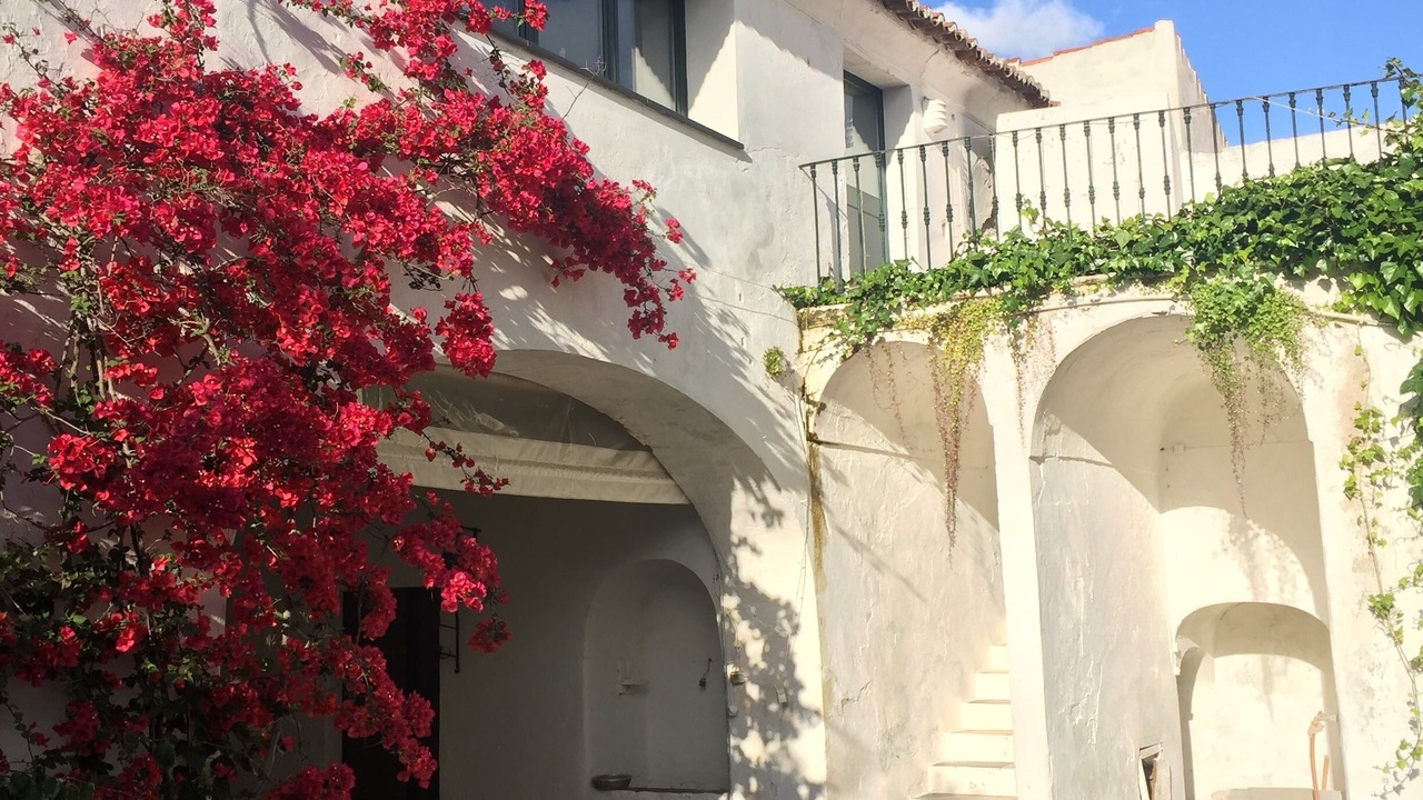 Photo of Outdoor in Vidigueira