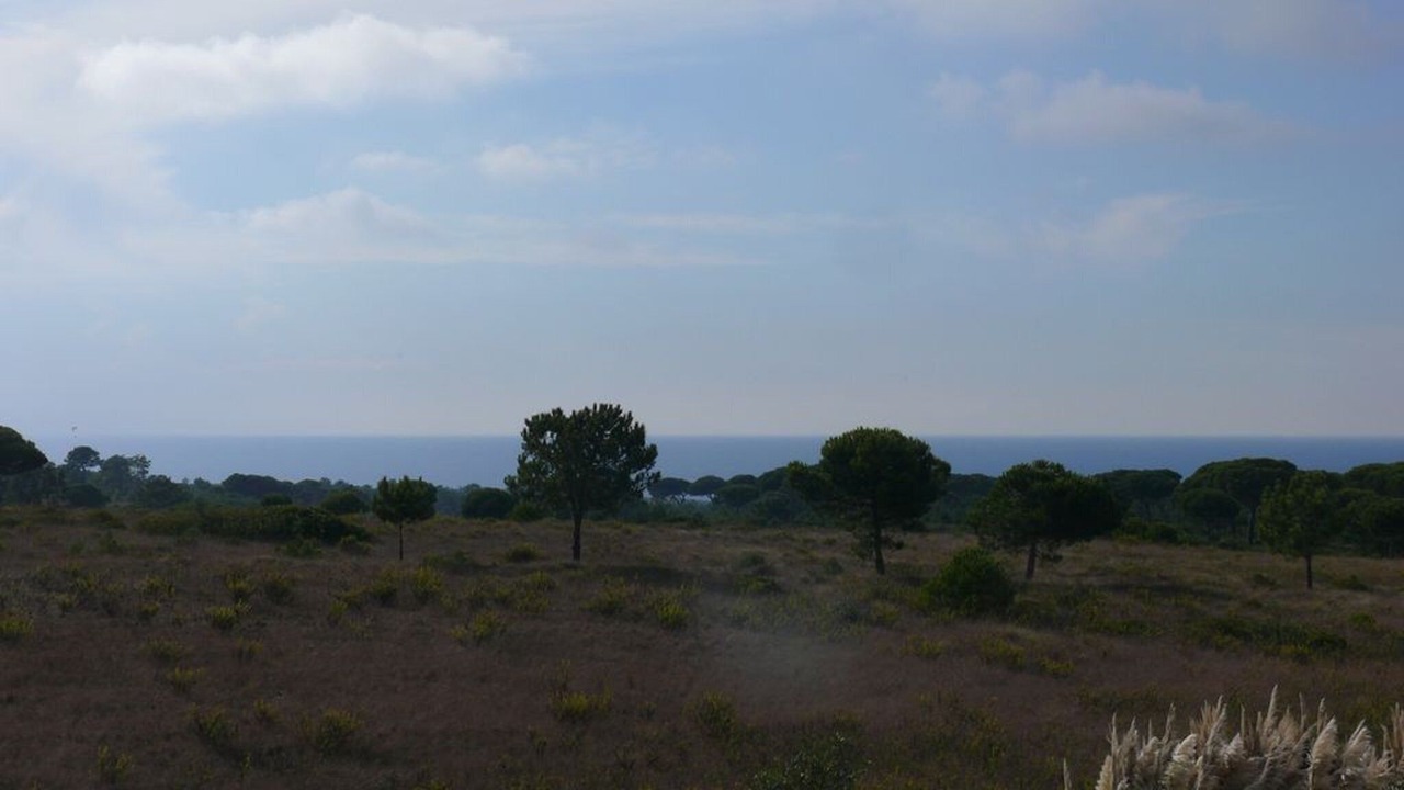 Photo of Others in Fornos