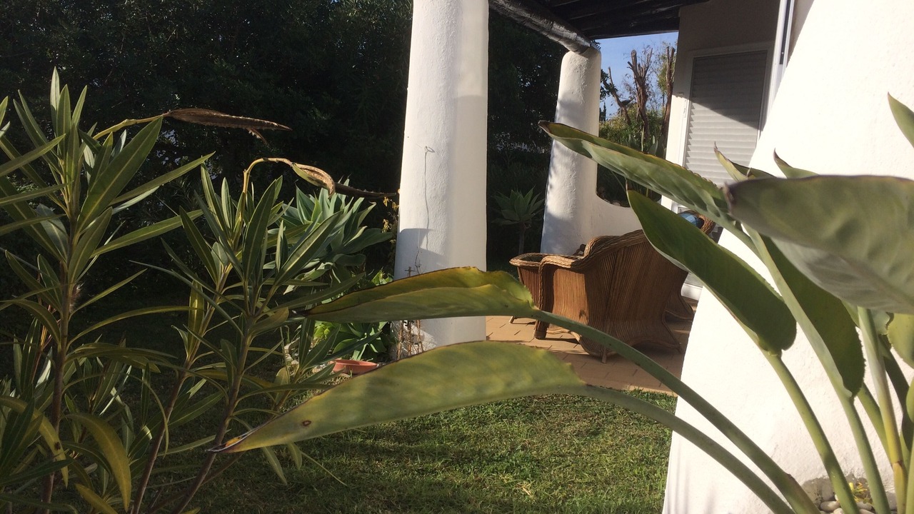 Photo of Outdoor in Mato Serrao