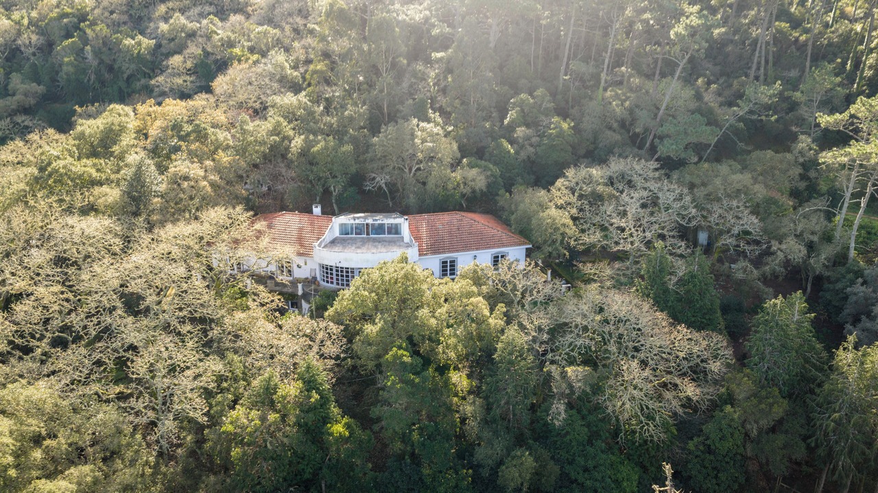 Photo of Outdoor in Monserrate