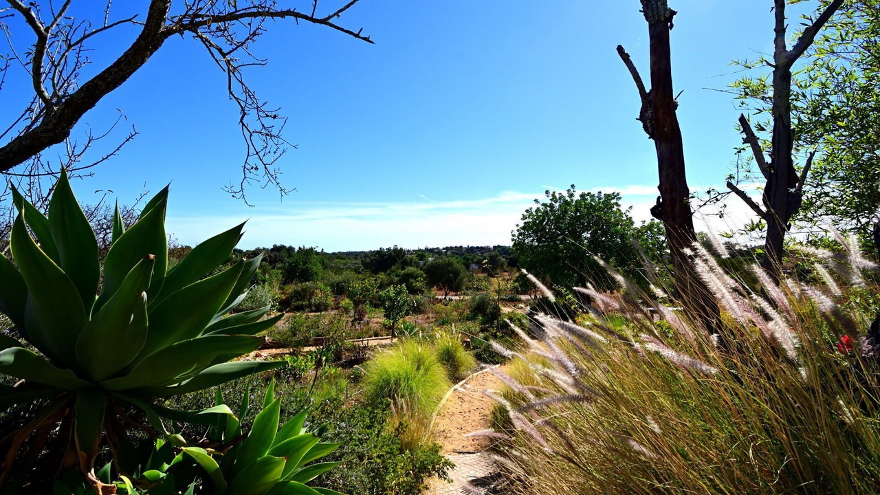 Photo of Outdoor in Olhao