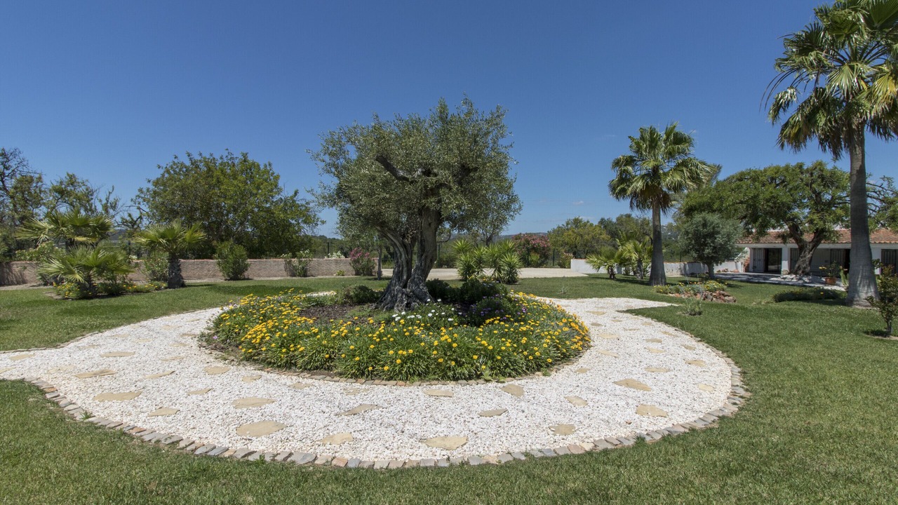 Photo of Outdoor in Sao Clemente