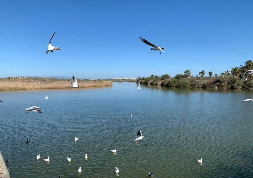 Photo of Outdoor in Salgados