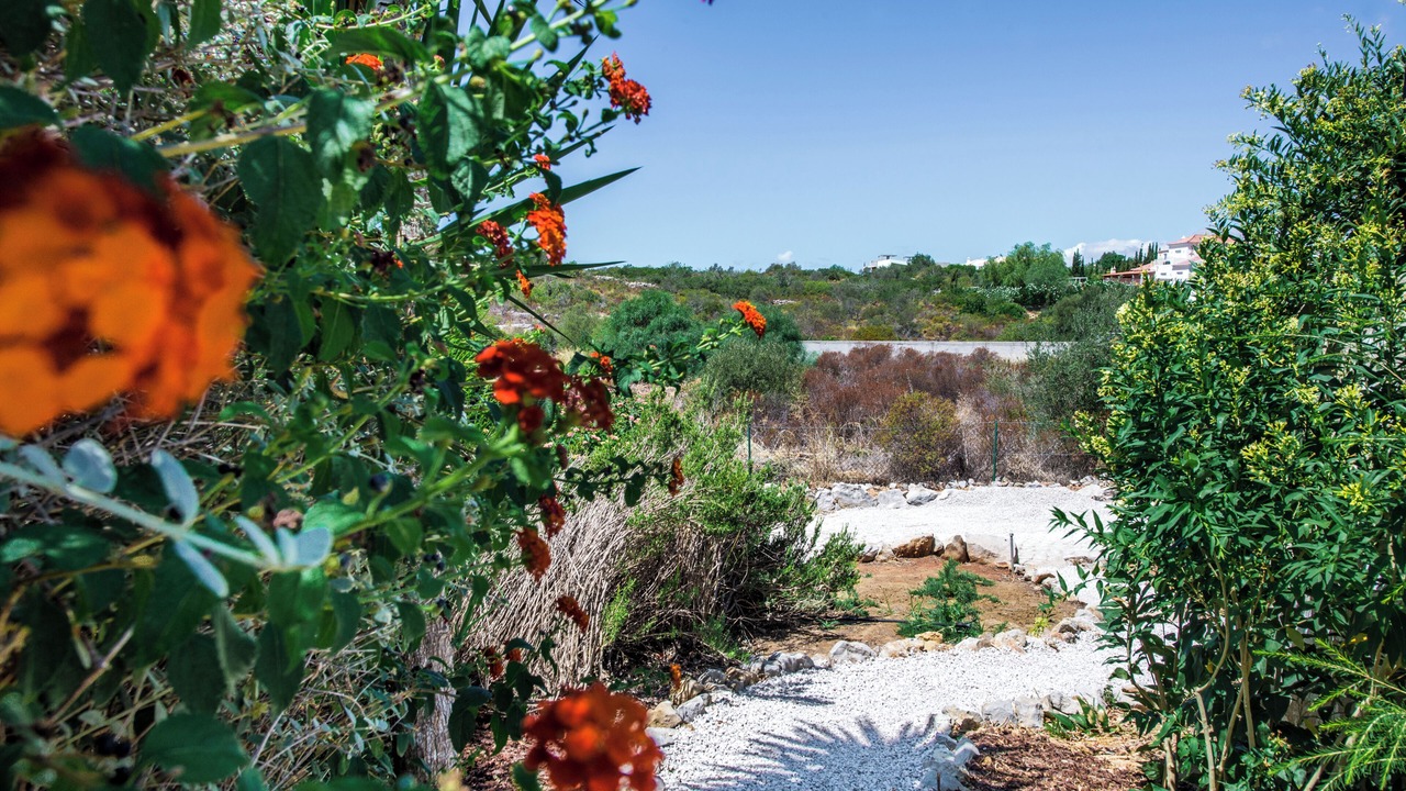 Photo of Outdoor in Olhao