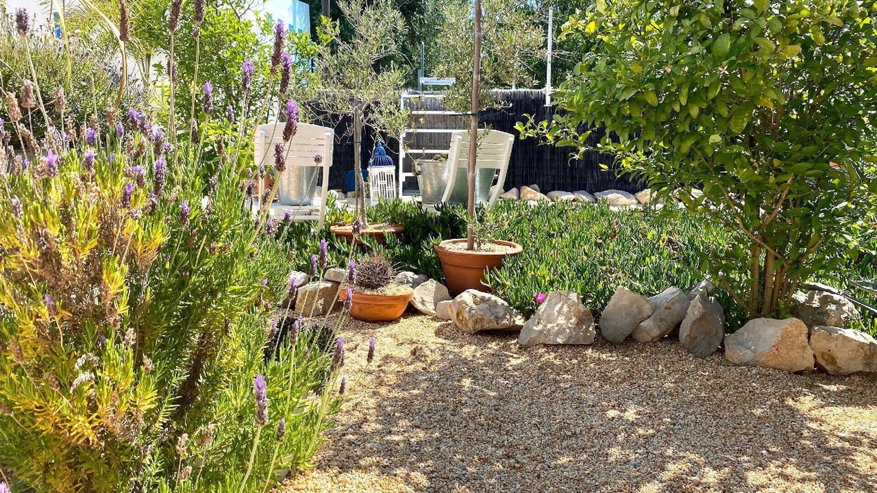 Photo of Outdoor in Aldeia