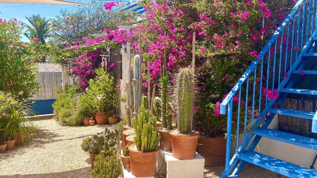 Photo of Outdoor in Aldeia