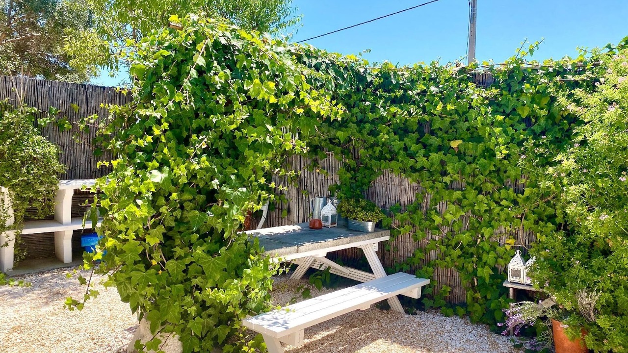 Photo of Outdoor in Aldeia