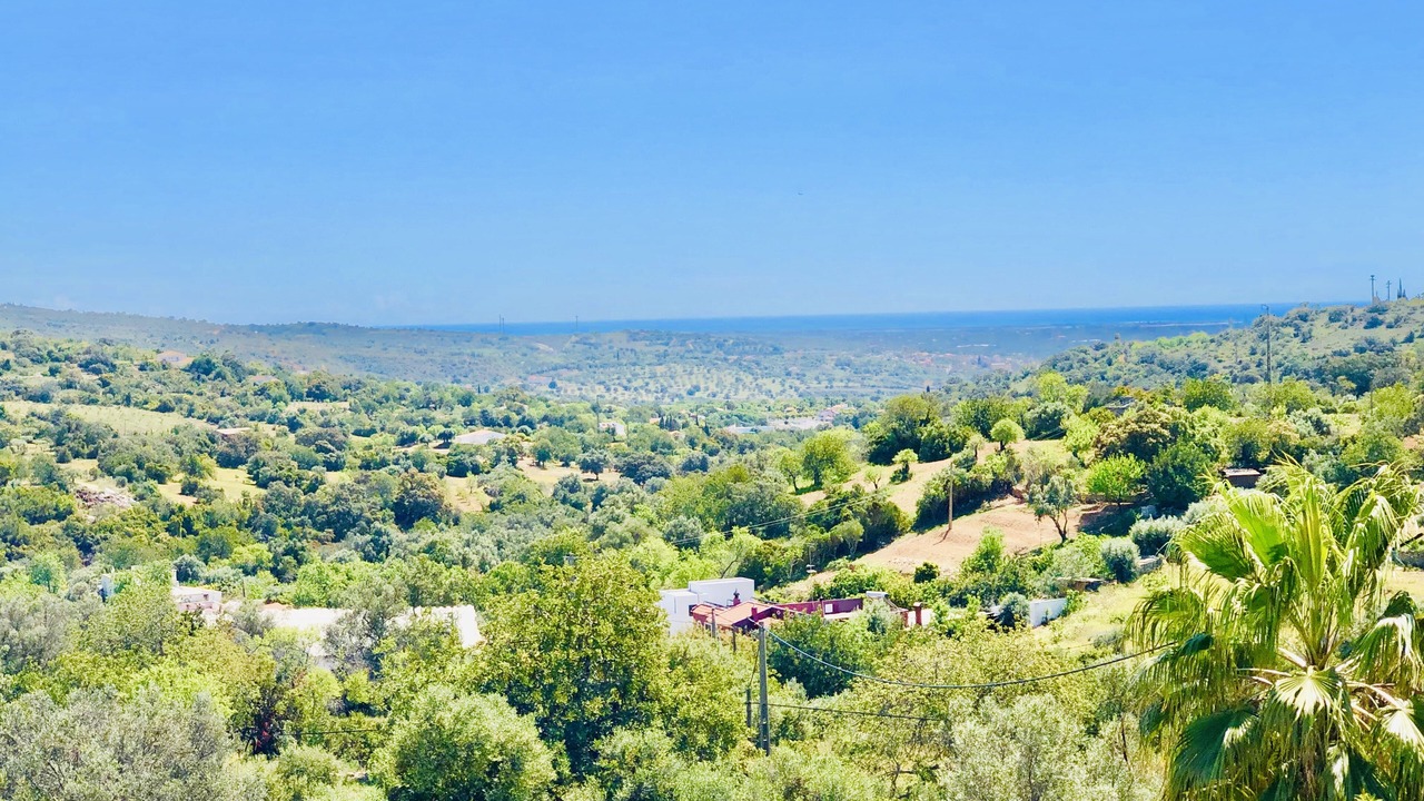 Photo of Others in Telheiro