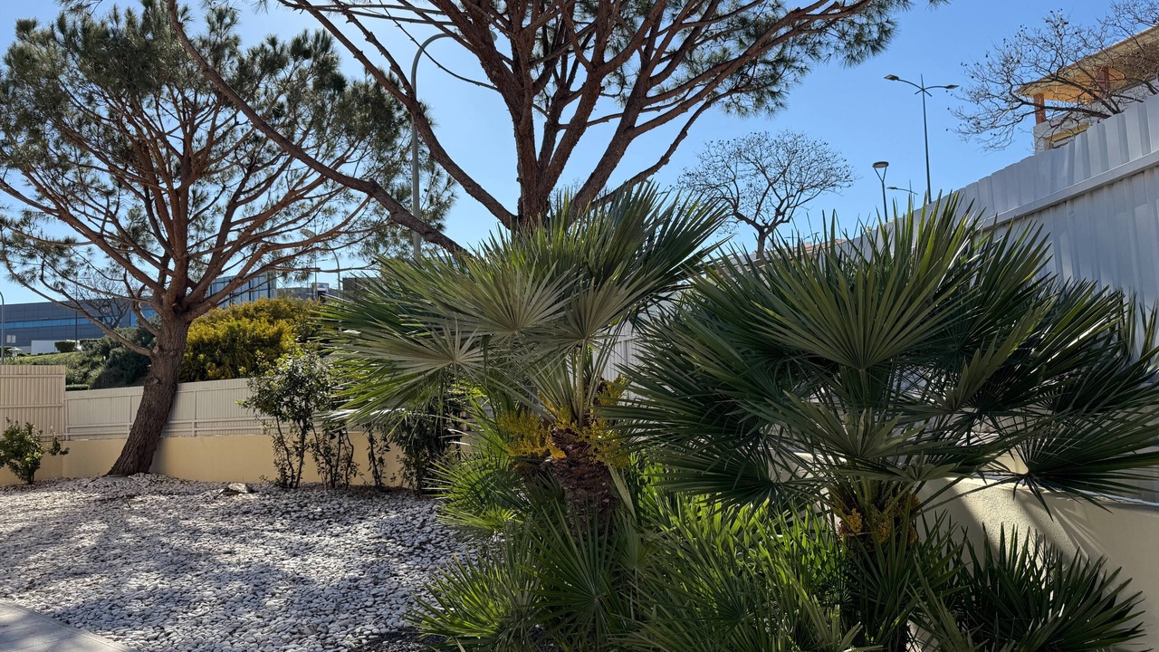Photo of Outdoor in Santa Eulalia