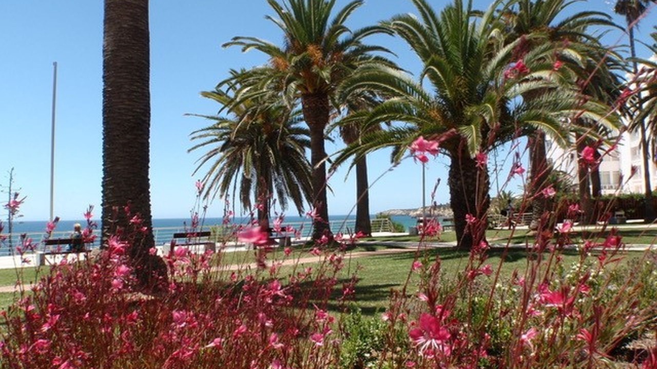 Photo of Outdoor in Armacao de Pera