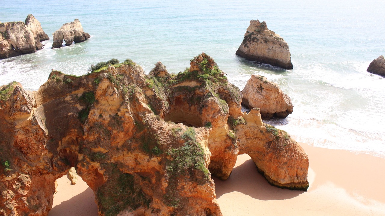 Photo of Others in Prainha