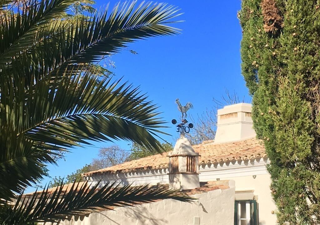 Photo of Outdoor in Sao Bras de Alportel