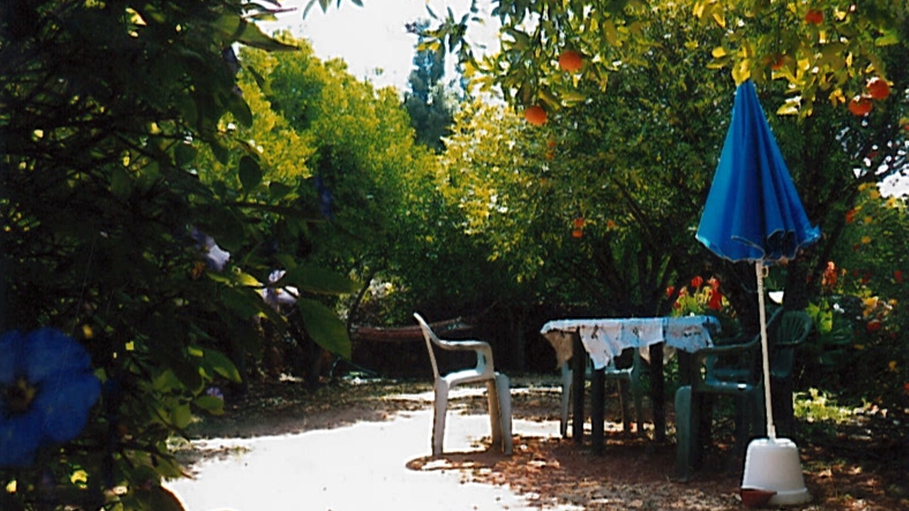 Photo of Outdoor in Silves