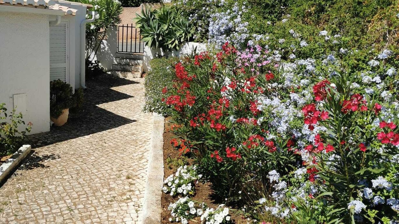 Photo of Outdoor in Luz