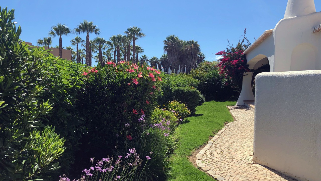 Photo of Outdoor in Albufeira