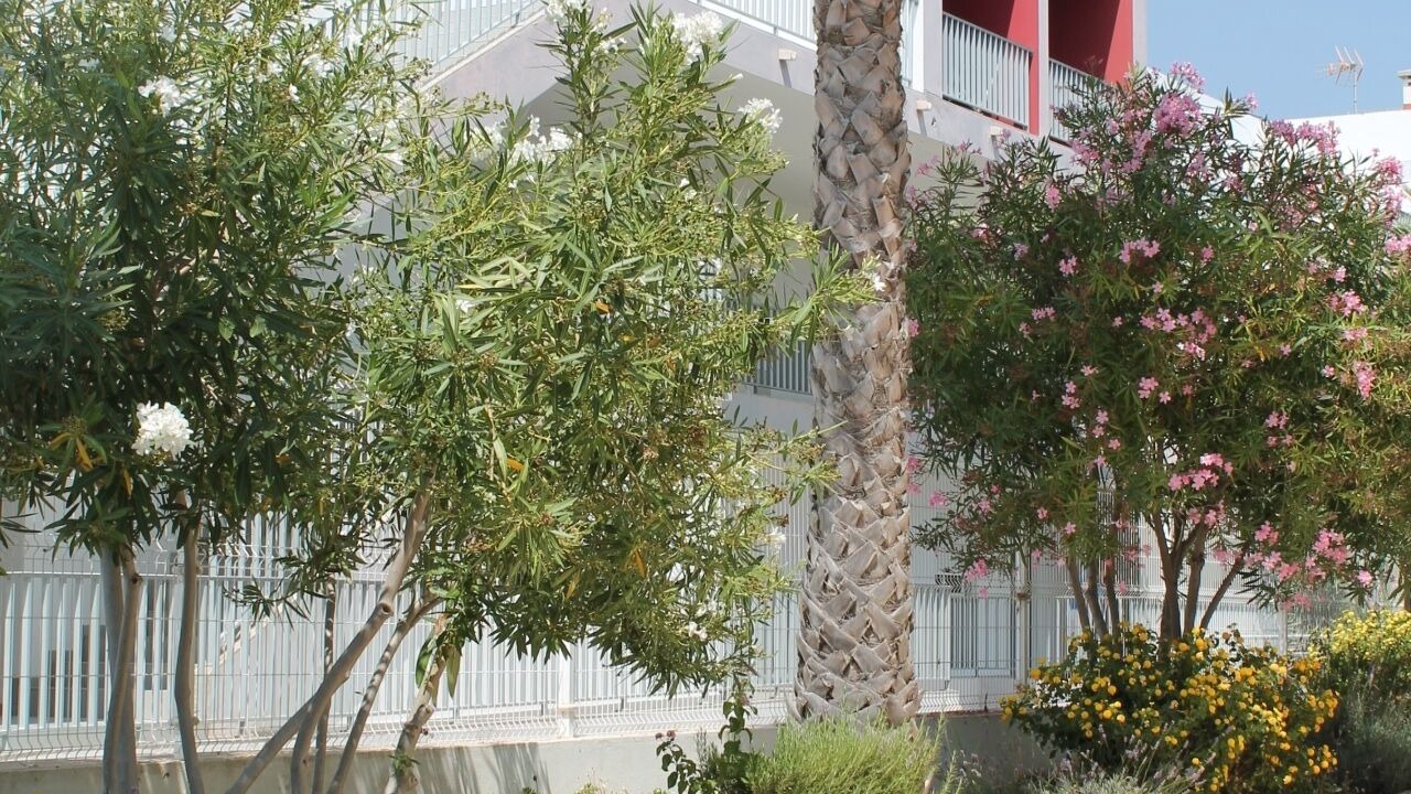 Photo of Others in Santa Luzia