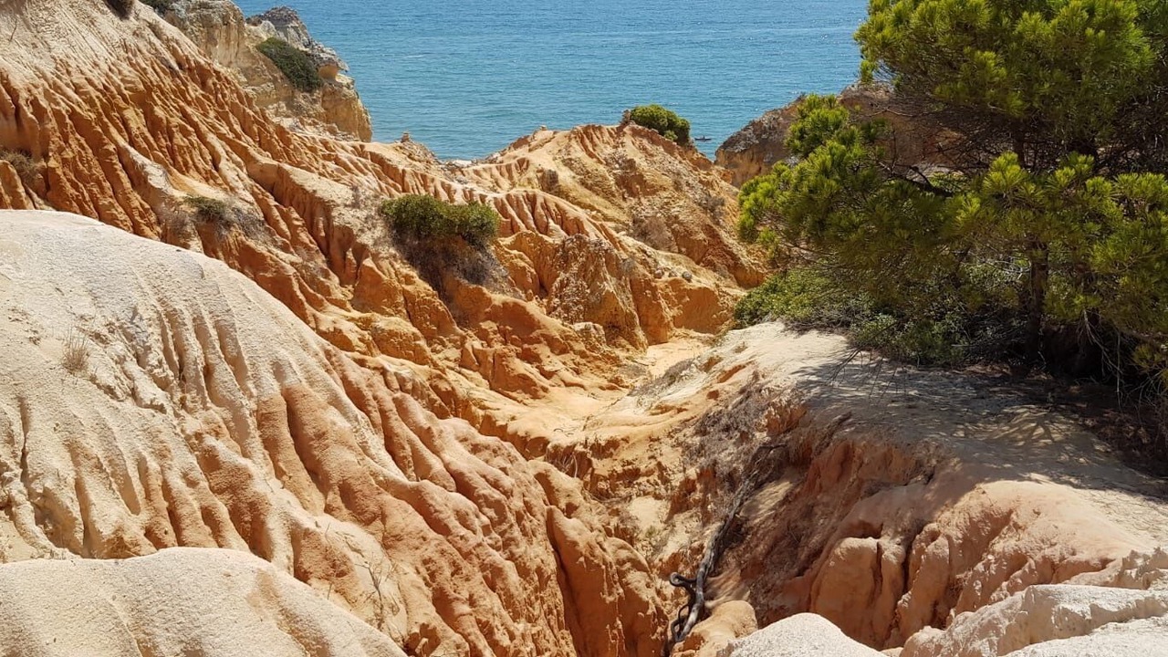 Photo of Others in Carvoeiro