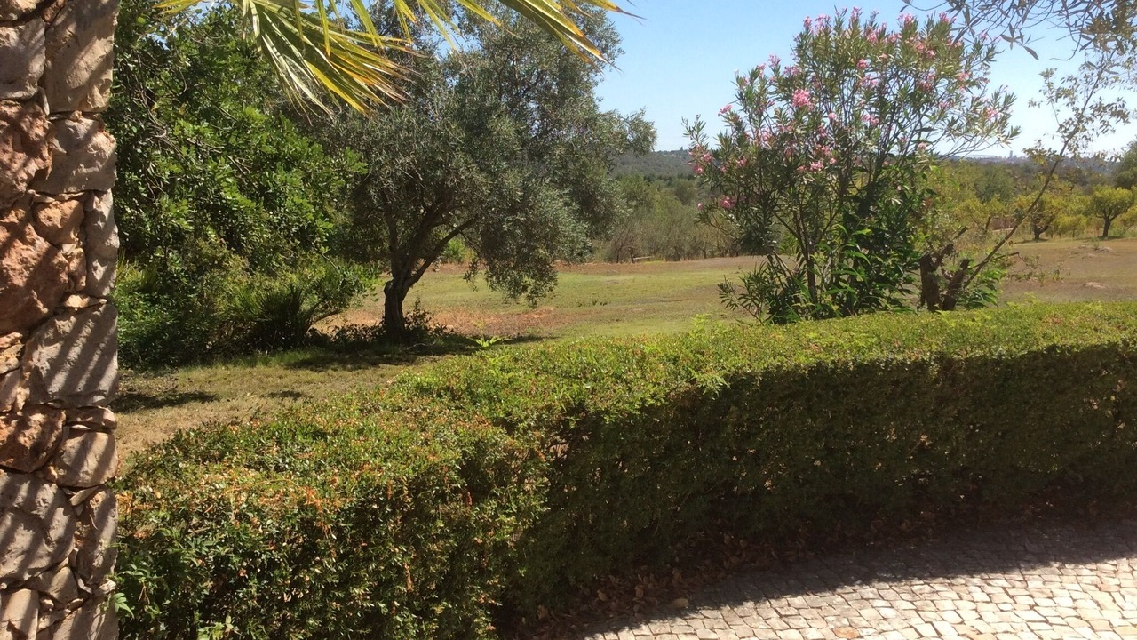 Photo of Outdoor in Tavira