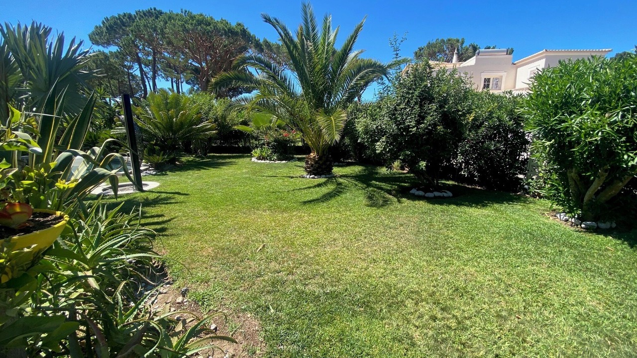 Photo of Outdoor in Quarteira