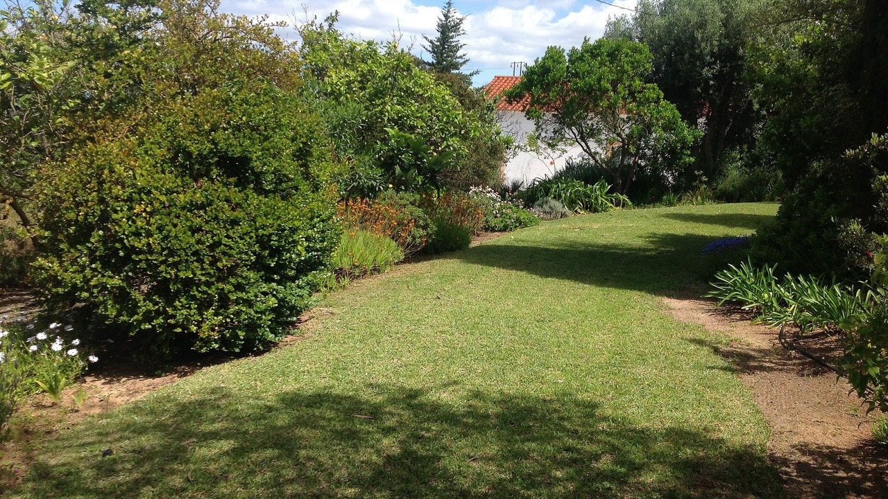 Photo of Outdoor in Carvoeiro