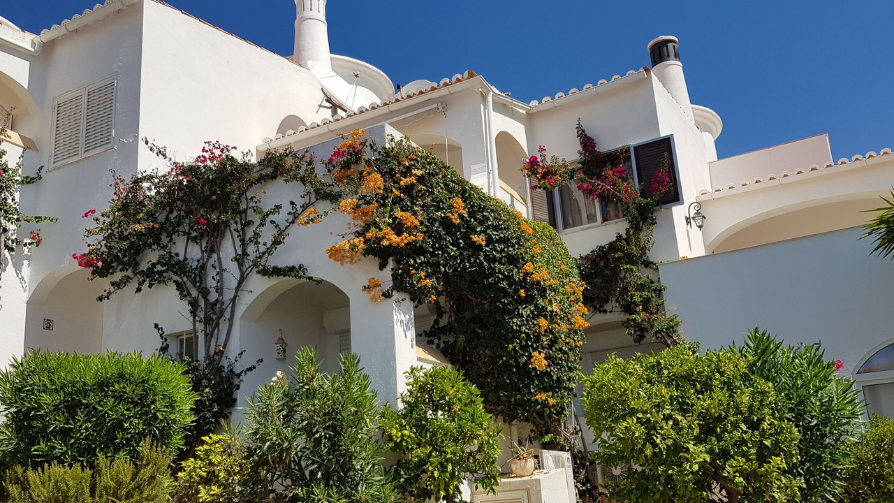 Photo of Outdoor in Mato Serrao