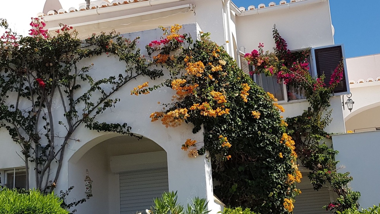 Photo of Outdoor in Mato Serrao