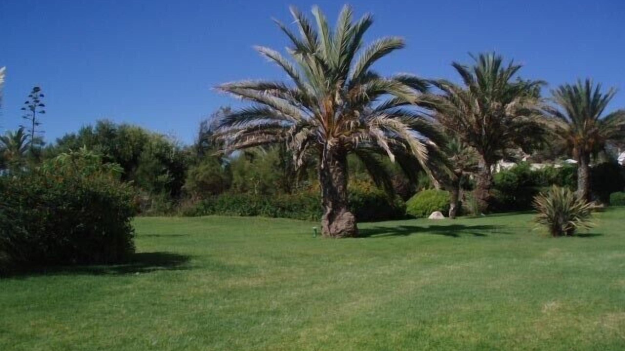 Photo of Outdoor in Armacao de Pera