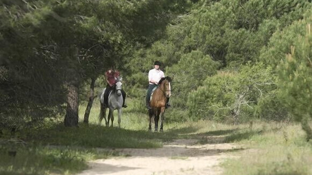 Photo of Others in Aldeia de Irmaos