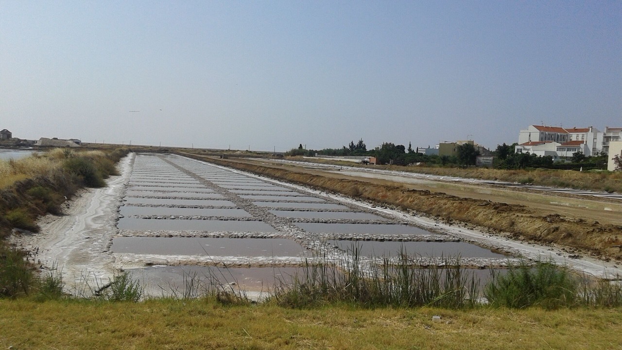 Photo of Others in Tavira