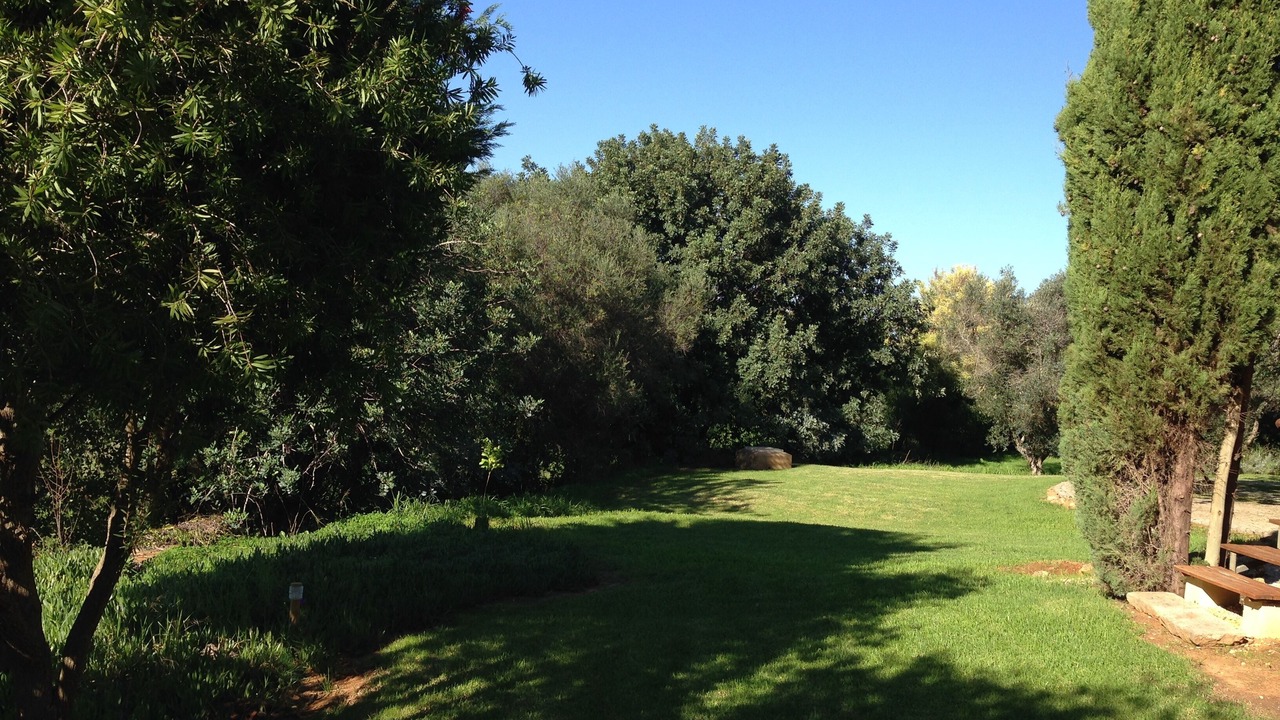 Photo of Outdoor in Alcantarilha