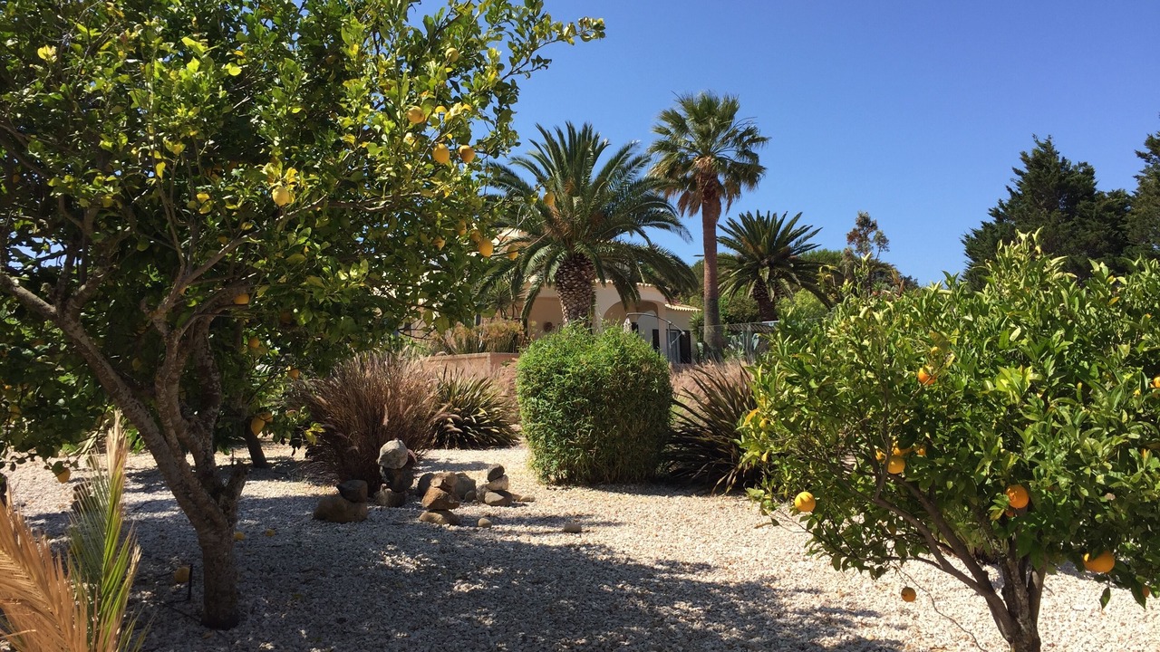 Photo of Outdoor in Praia da Luz