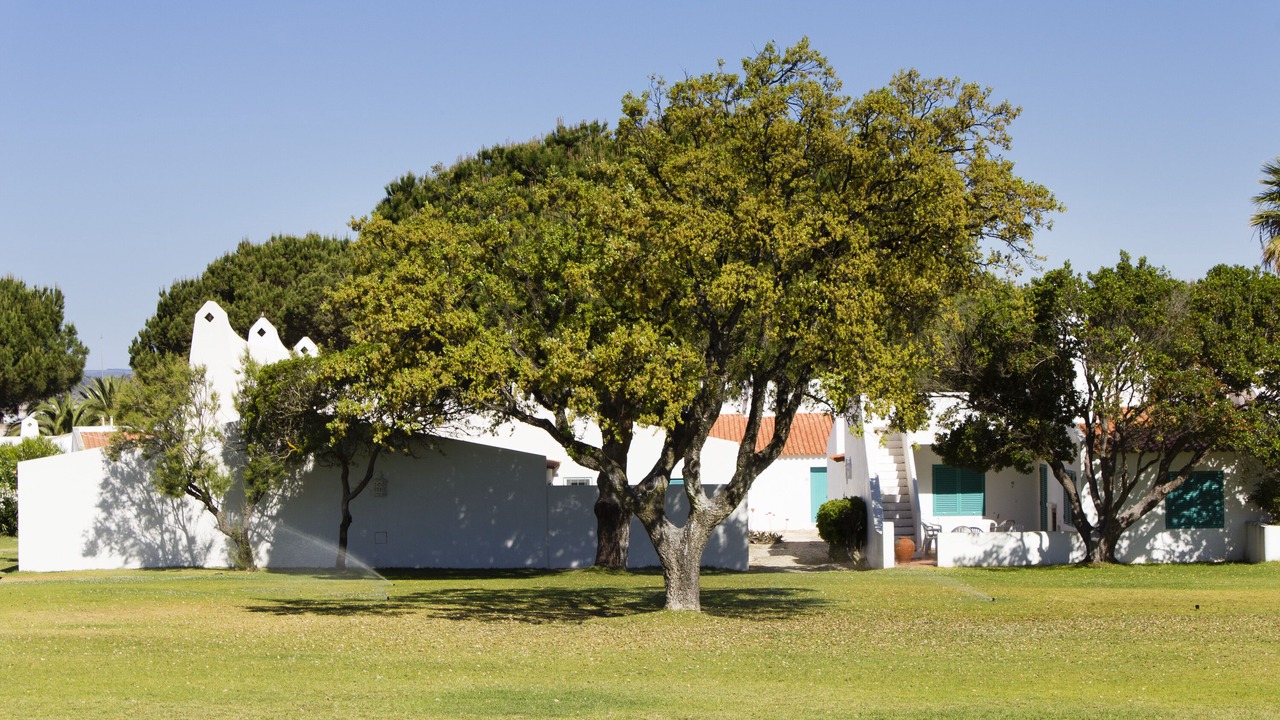 Photo of Outdoor in Prainha