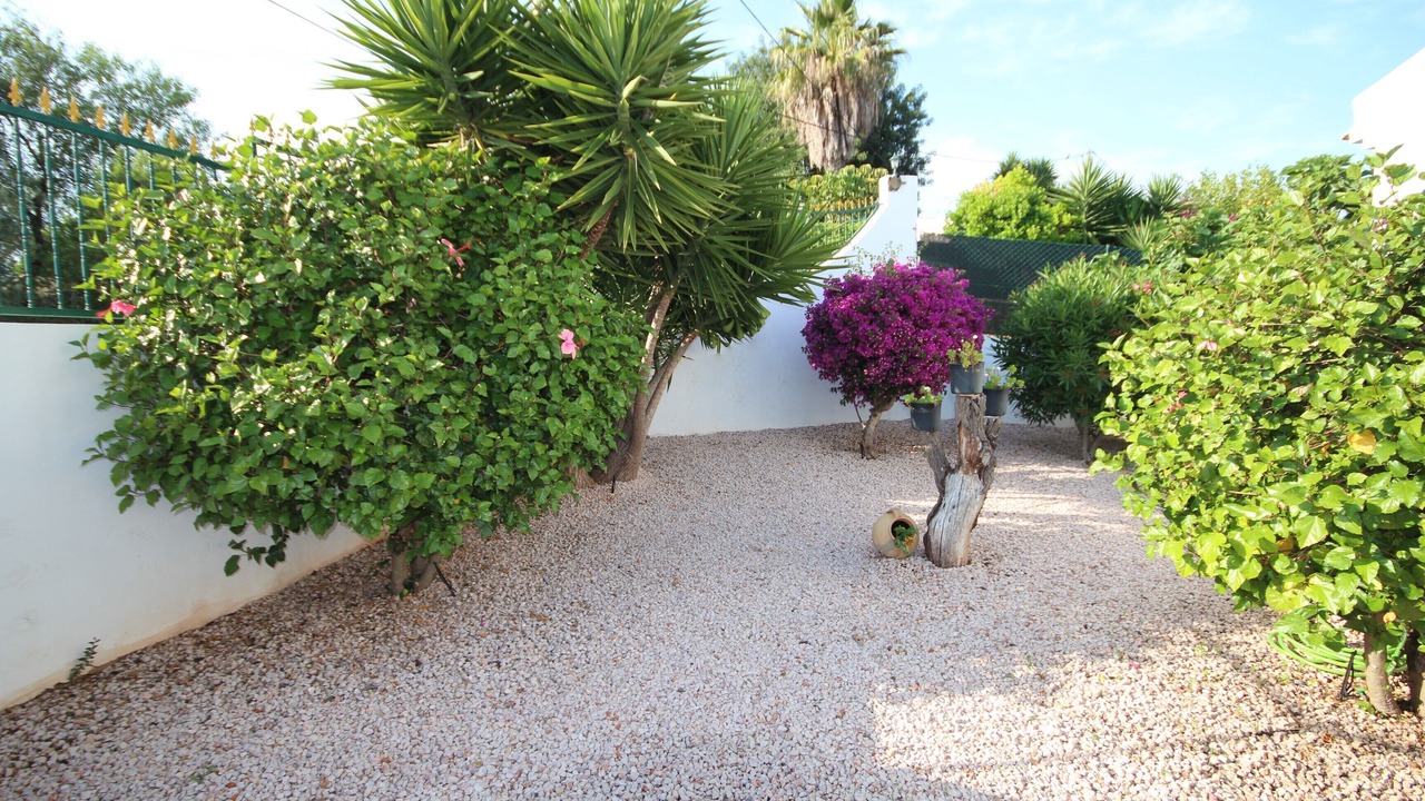 Photo of Outdoor in Figueiral
