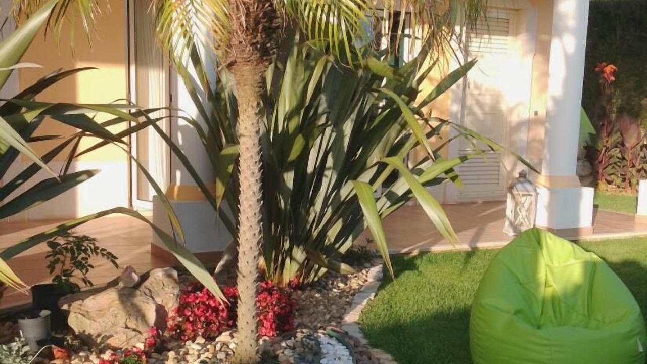 Photo of Outdoor in Porto de Mos