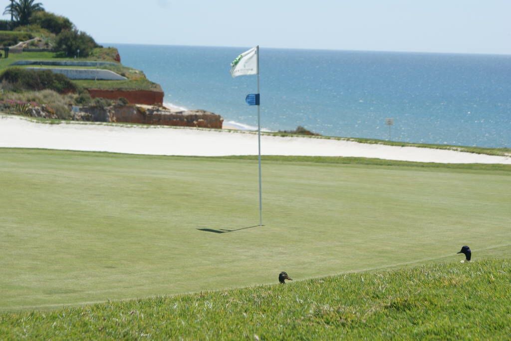 Photo of Others in Vale do Lobo