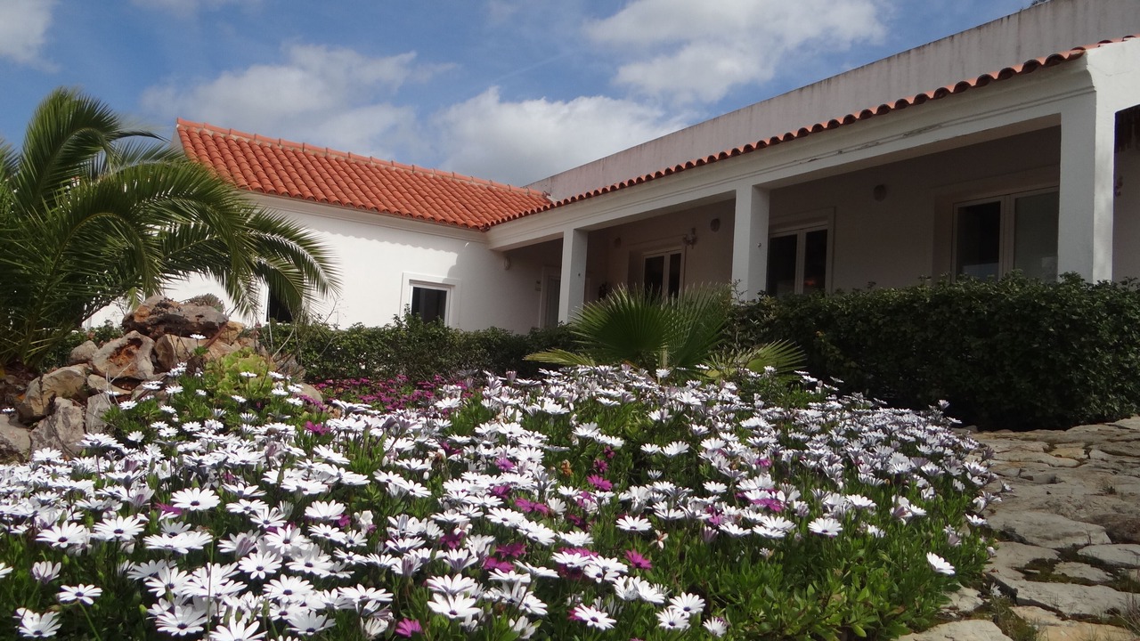 Photo of Outdoor in Olhao